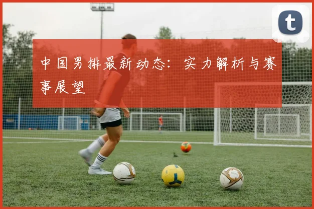 中国男排最新动态：实力解析与赛事展望