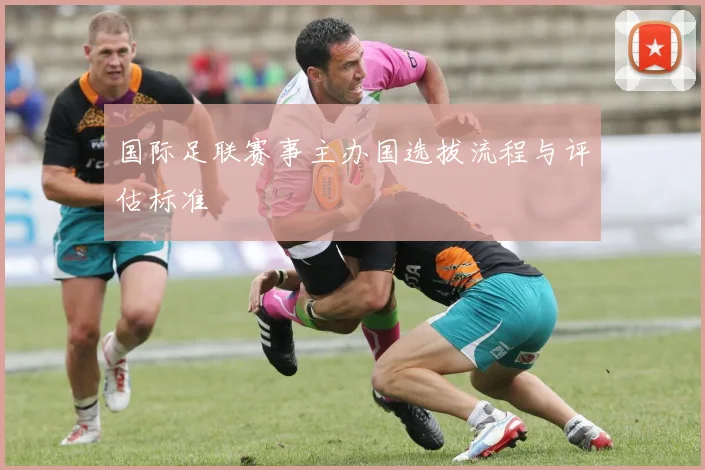 国际足联赛事主办国选拔流程与评估标准